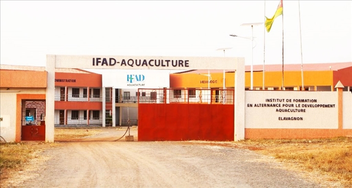 IFAD-Aquaculture